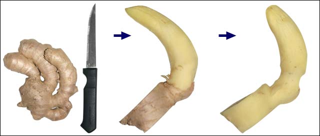 How to carve a ginger root for figging